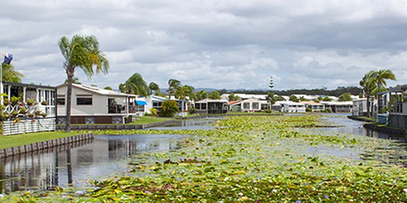 Paradise Lakes lakeside view