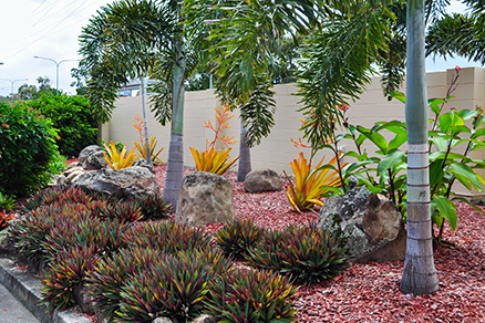 Palm gardens